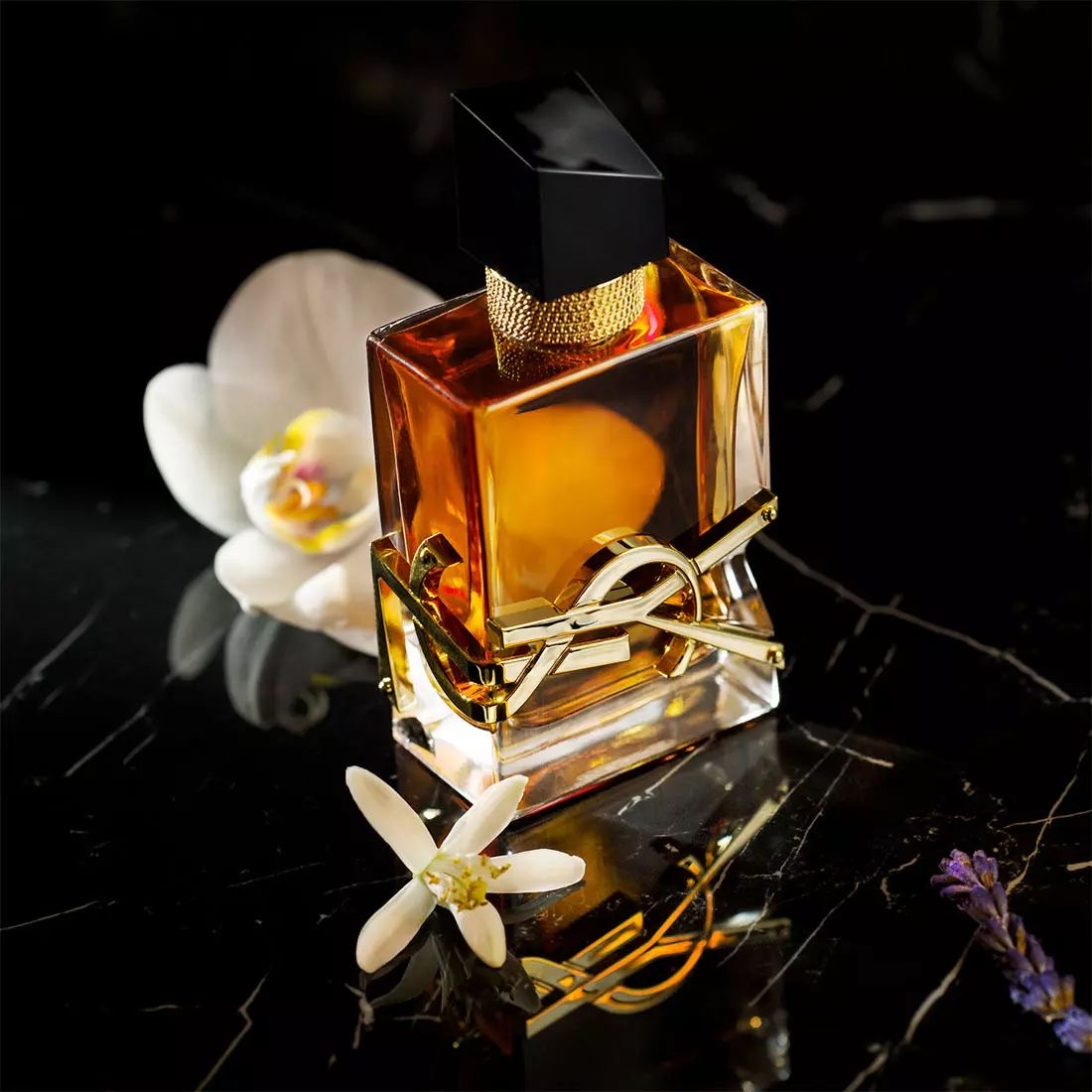 YSL Libre