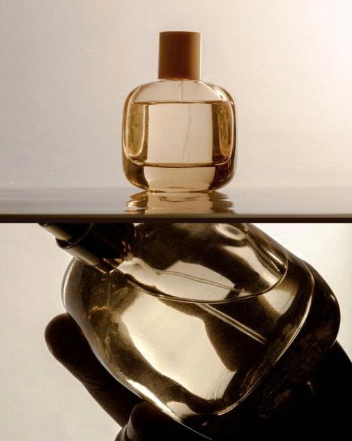 THE OLFACTORY