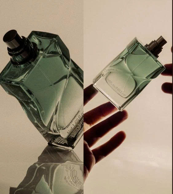 THE OLFACTORY