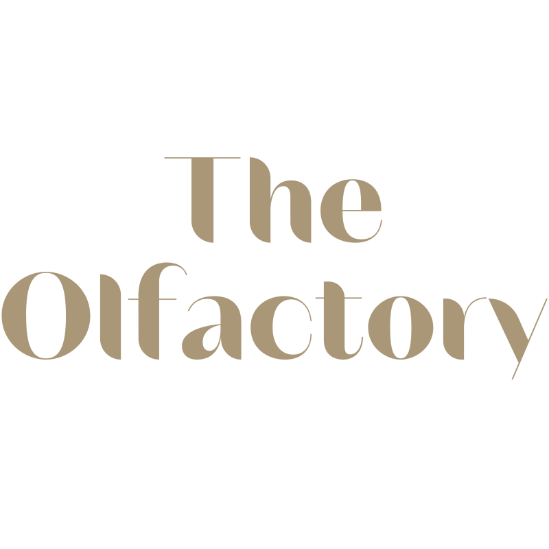 THE OLFACTORY 